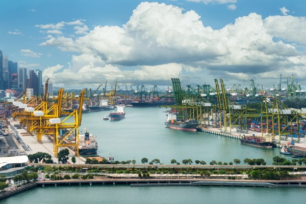 supply_chain 鼎天国际官方网站图片